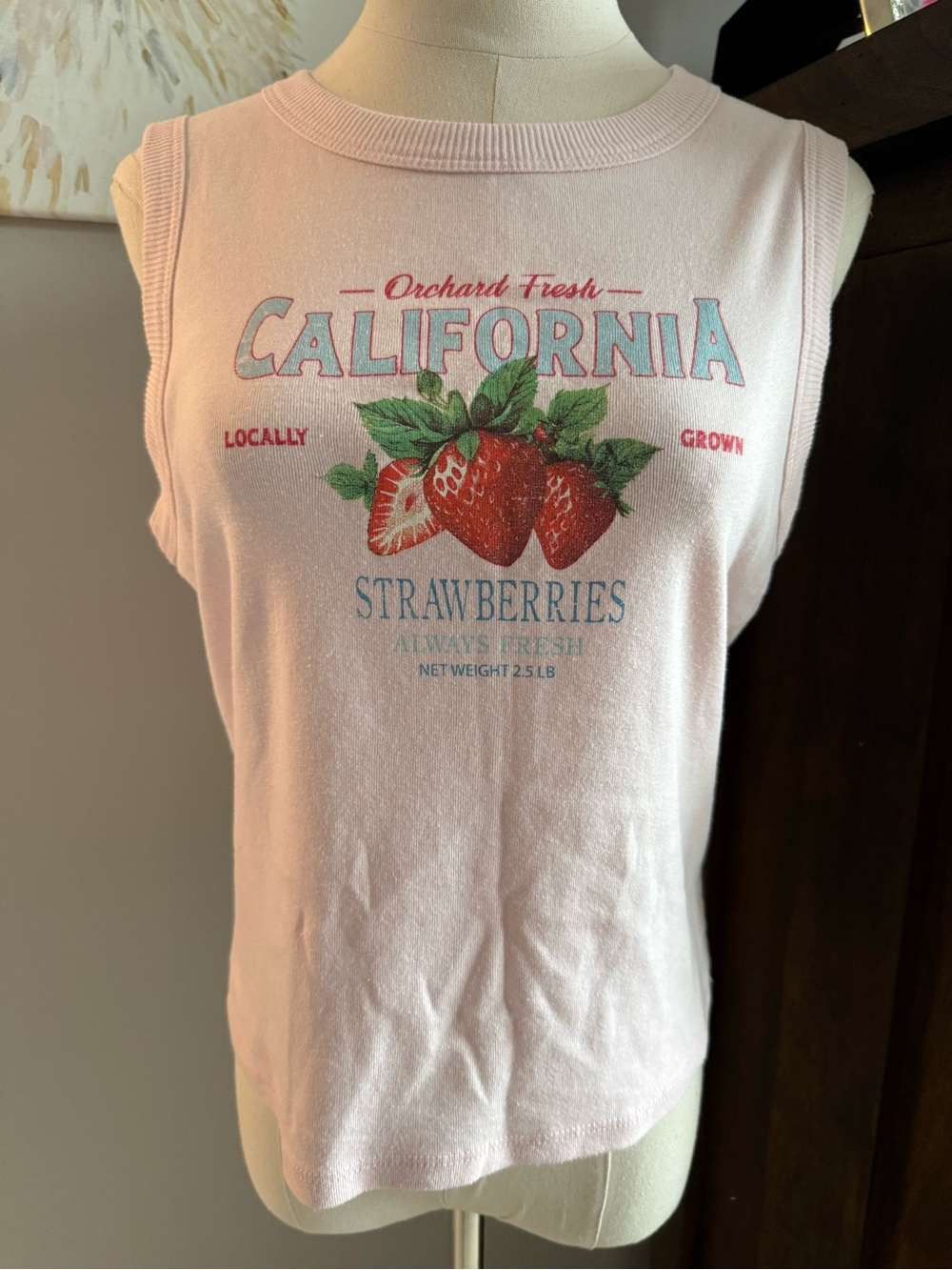 Vinyl Icons California Strawberries Graphic Tank EUC